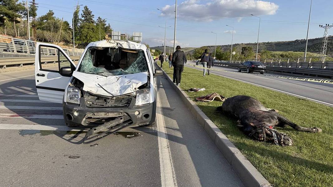 Yola fırlayan at, sivil polis aracına girdi! 1'i ağır 2 polis yaralandı, at ise öldü 1